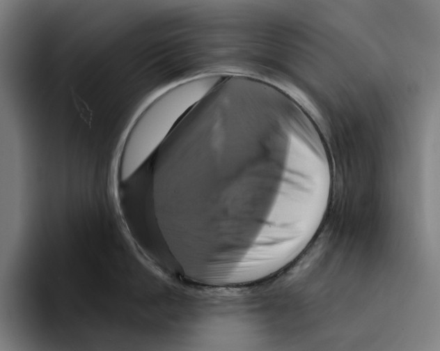 X0000094900862200712271451