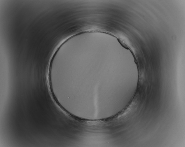 X0000094900863200712271451