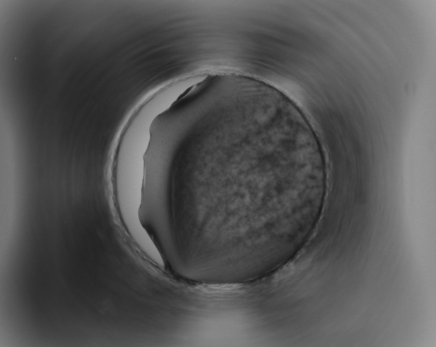 X0000094900864200712271451