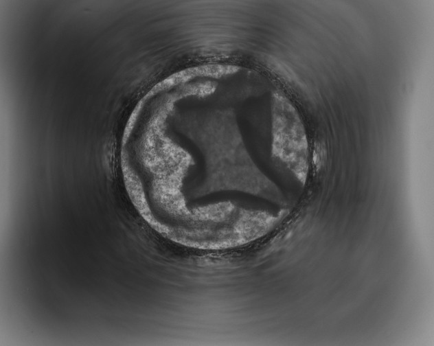 X0000094900867200712271450