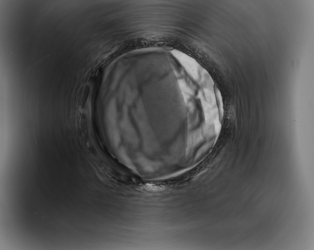 X0000094900868200712271450