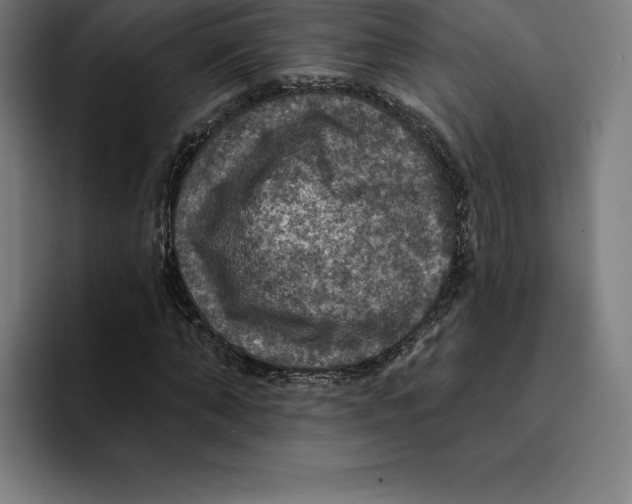 X0000094900870200712271450