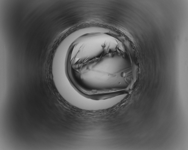 X0000094900872200712271450