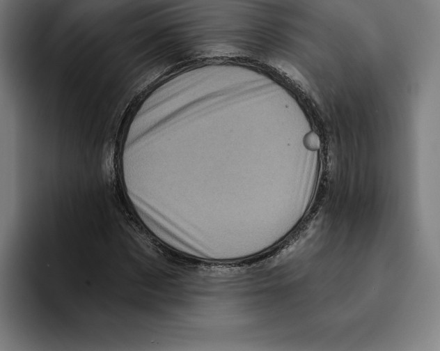 X0000094900873200712271450