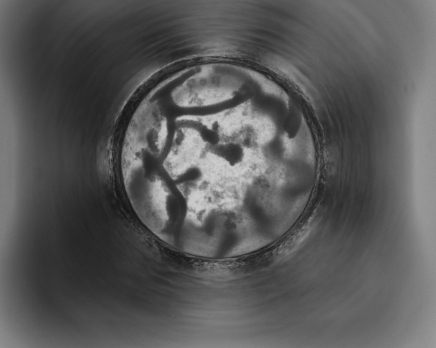 X0000094900875200712271450