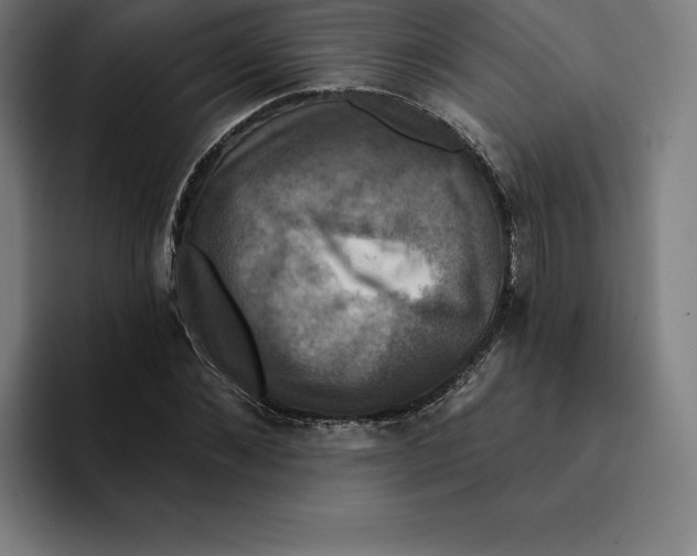 X0000094900876200712271450