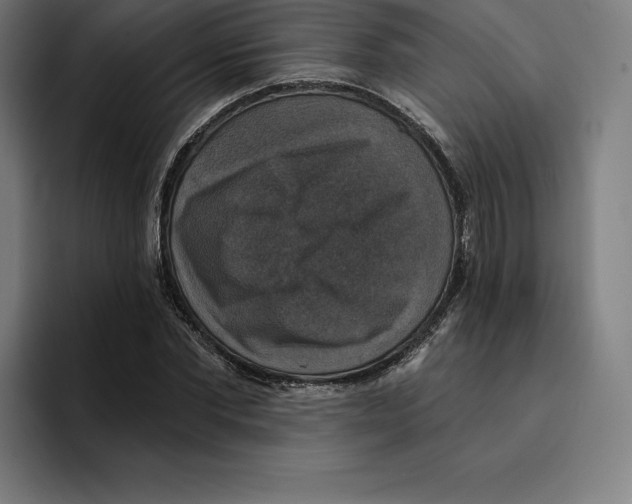 X0000094900877200712271450