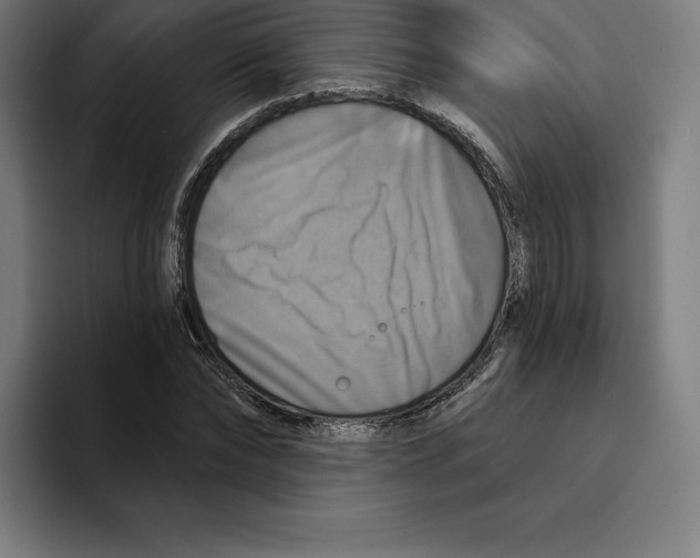 X0000094900878200712271450