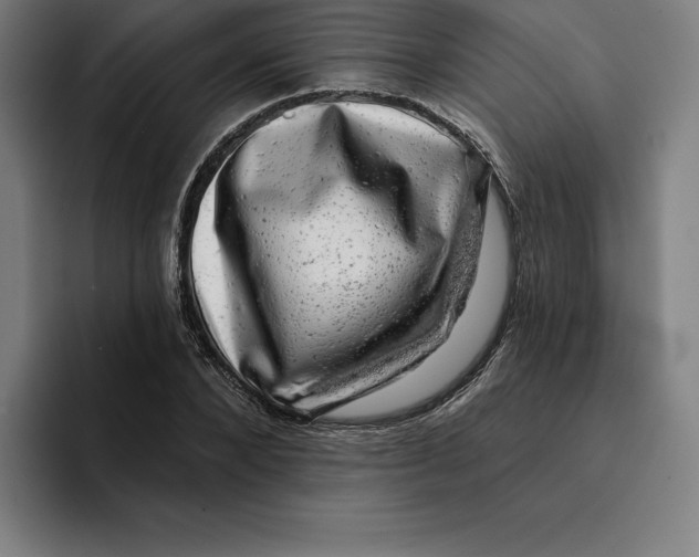 X0000094900880200712271450