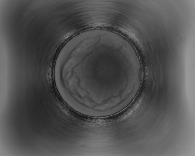 X0000094900881200712271450