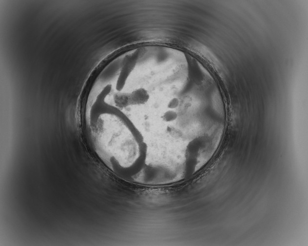 X0000094900883200712271450