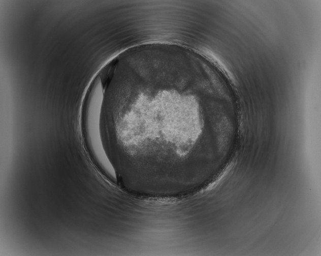 X0000094900884200712271450