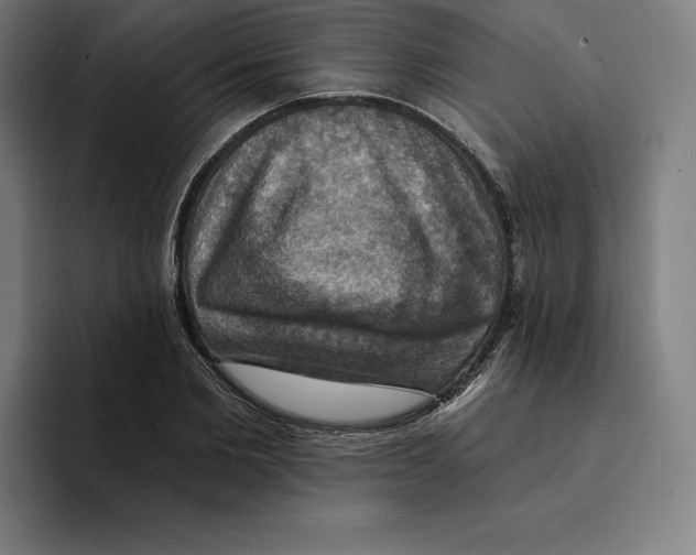 X0000094900885200712271450