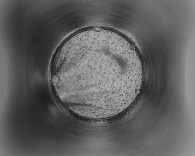 X0000094900887200712271450