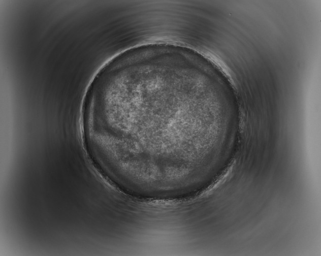 X0000094900888200712271450