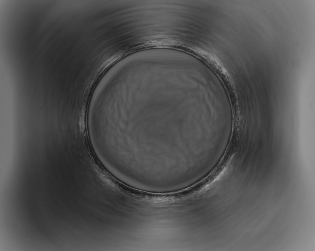 X0000094900889200712271450