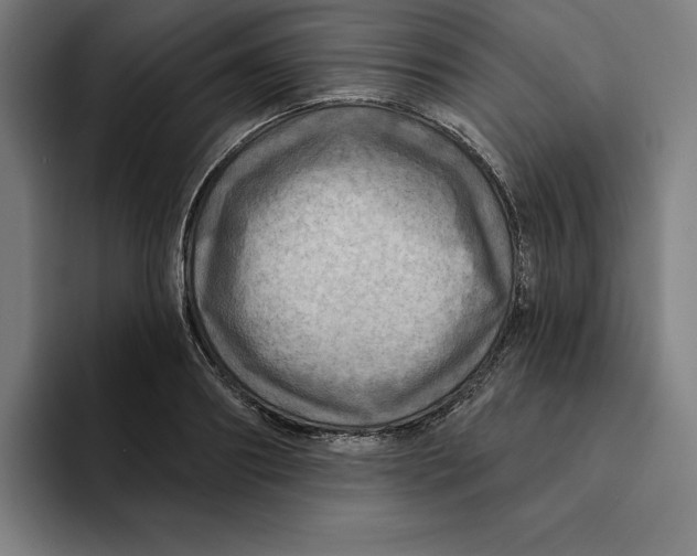 X0000094900890200712271450