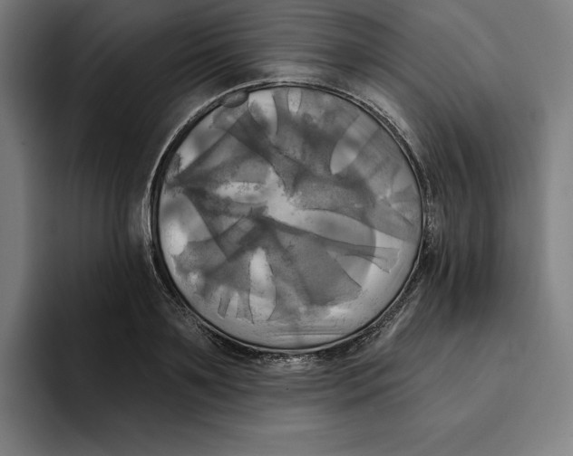 X0000094900891200712271450