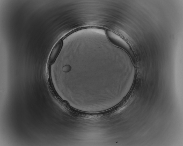 X0000094900892200712271450