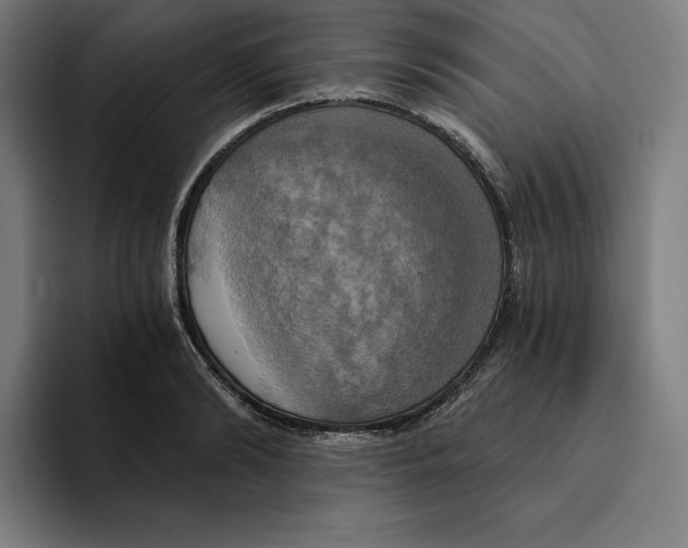 X0000094900894200712271450