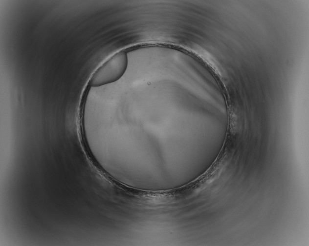 X0000094900895200712271450