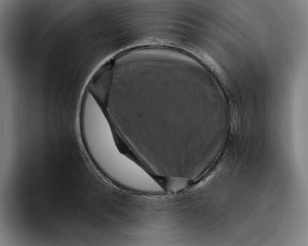 X0000094900896200712271450