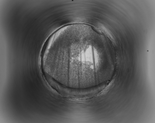 X0000094900900200712271450