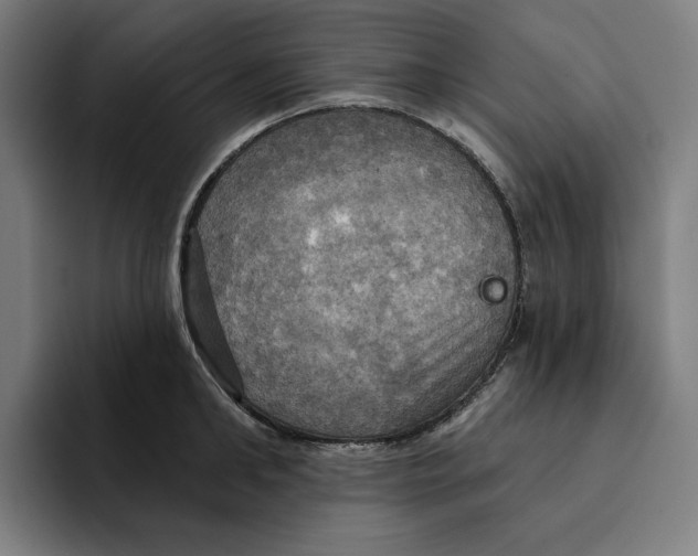 X0000094900902200712271450