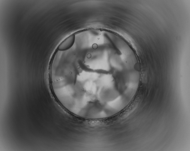 X0000094900903200712271450