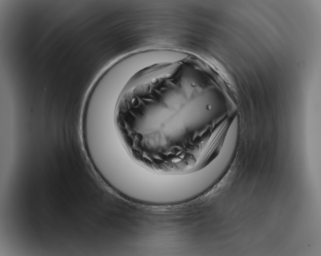 X0000094900904200712271450