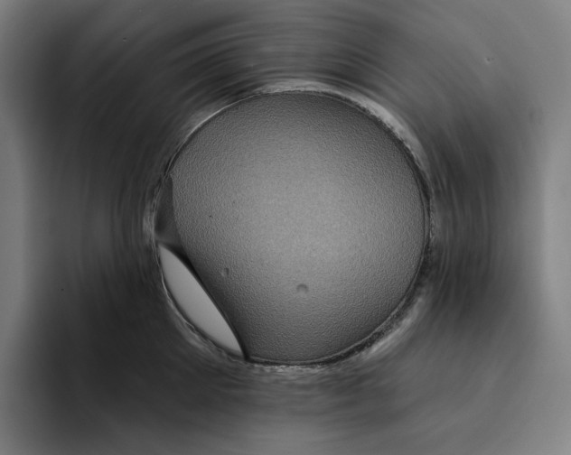 X0000094900905200712271450