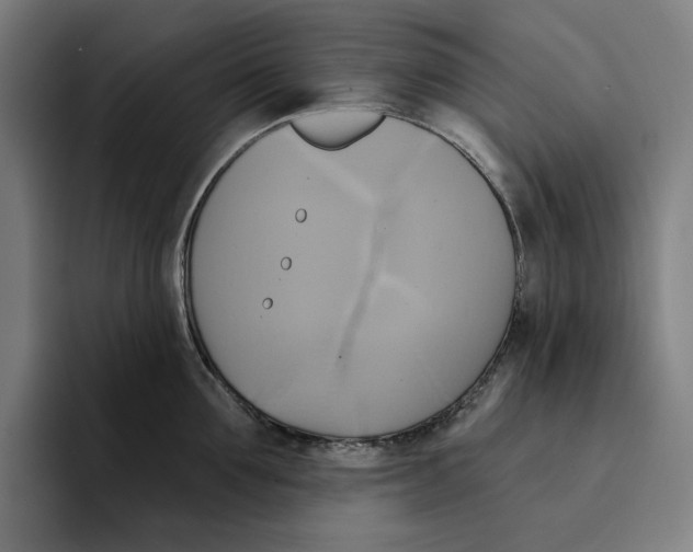 X0000094900907200712271450