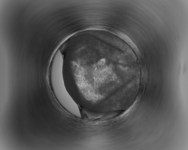 X0000094900908200712271450