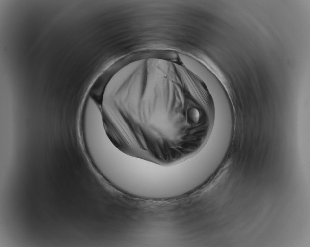 X0000094900909200712271450