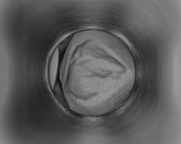 X0000094900910200712271450