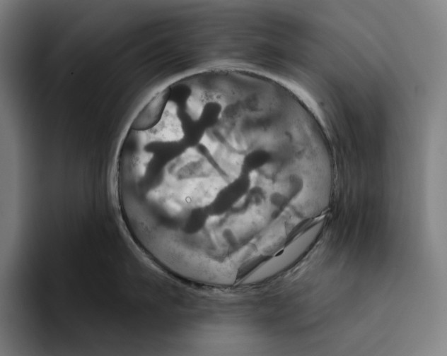 X0000094900911200712271450