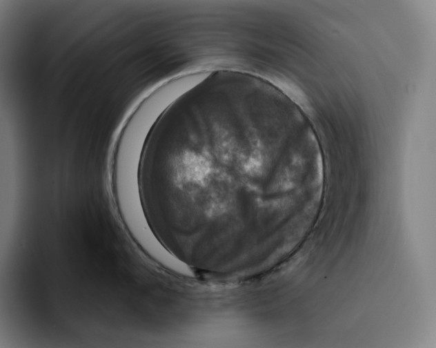 X0000094900912200712271450