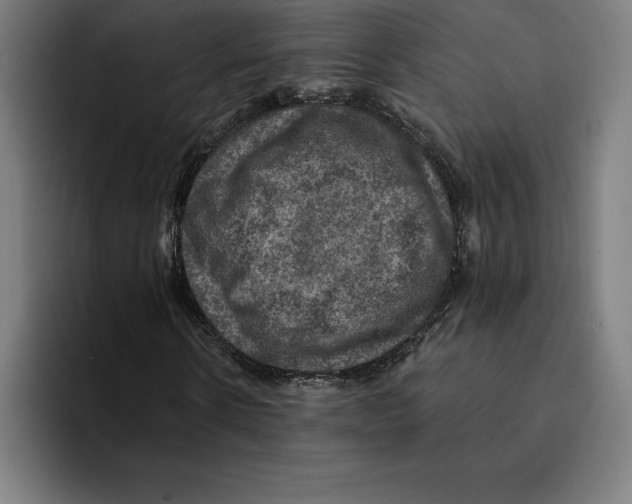 X0000094900914200712271449