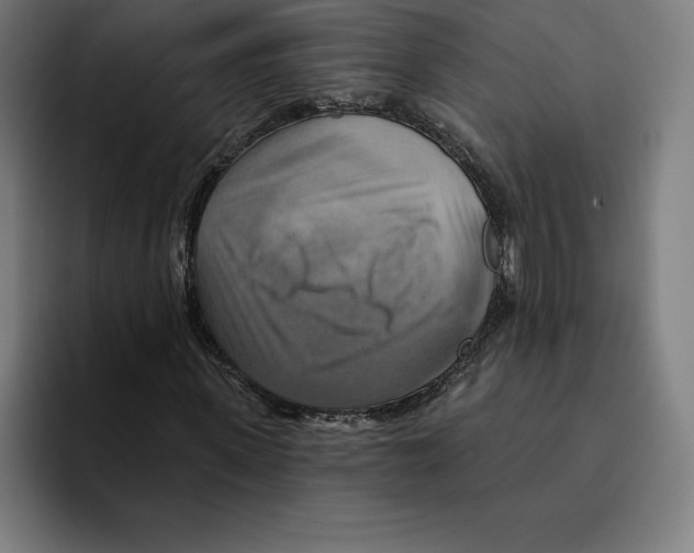 X0000094900915200712271449