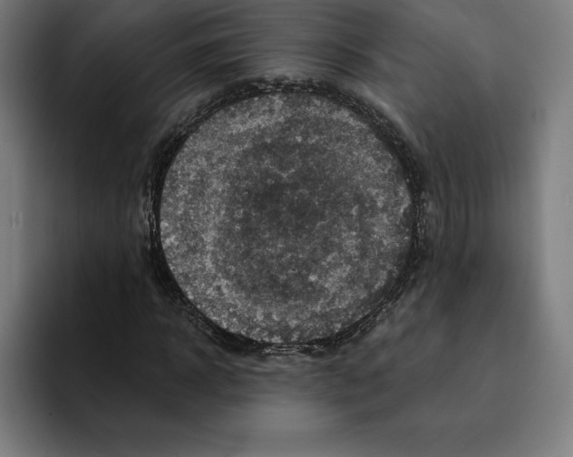 X0000094900918200712271449