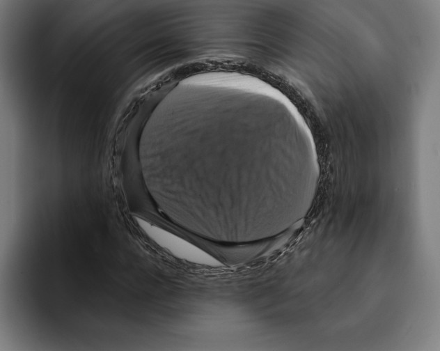 X0000094900920200712271449