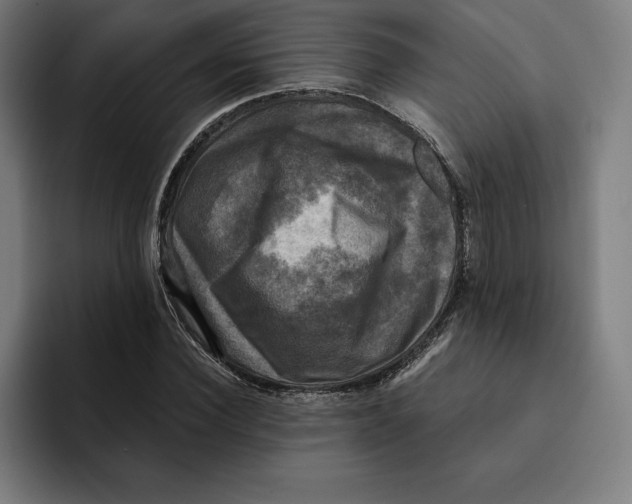 X0000094900924200712271449