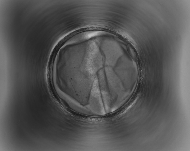 X0000094900928200712271449