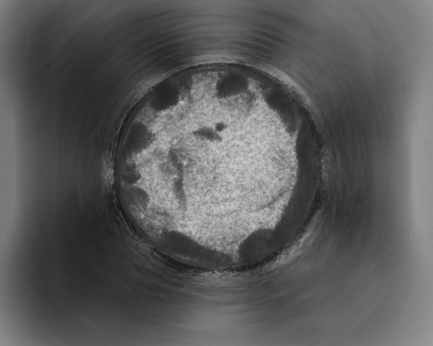 X0000094900929200712271449