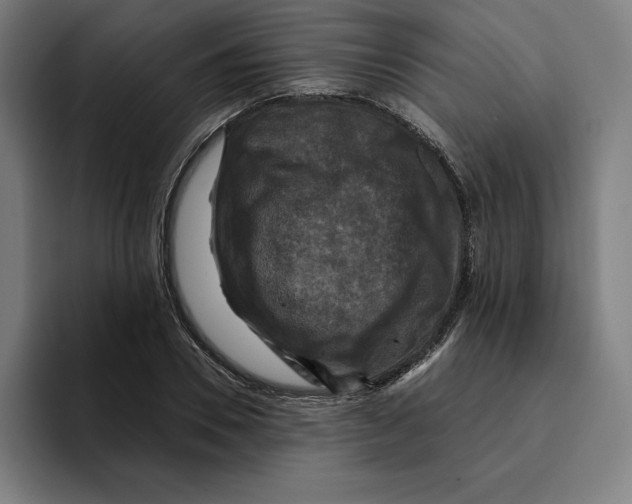 X0000094900930200712271449