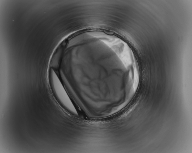 X0000094900932200712271449