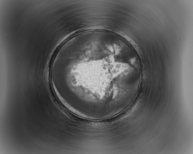 X0000094900933200712271449