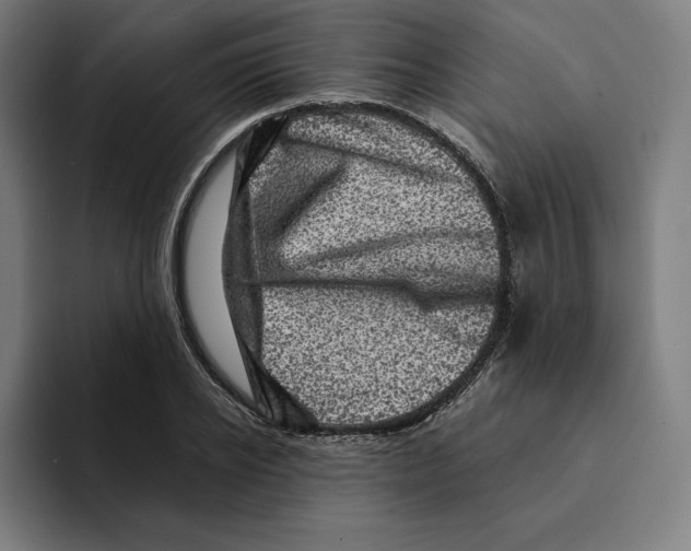 X0000094900934200712271449