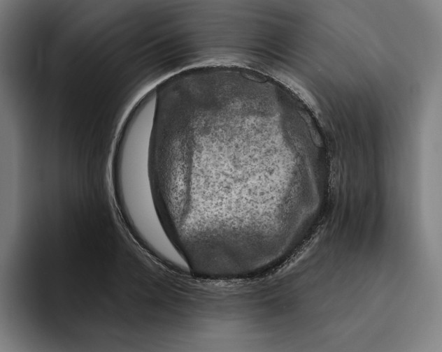 X0000094900936200712271449