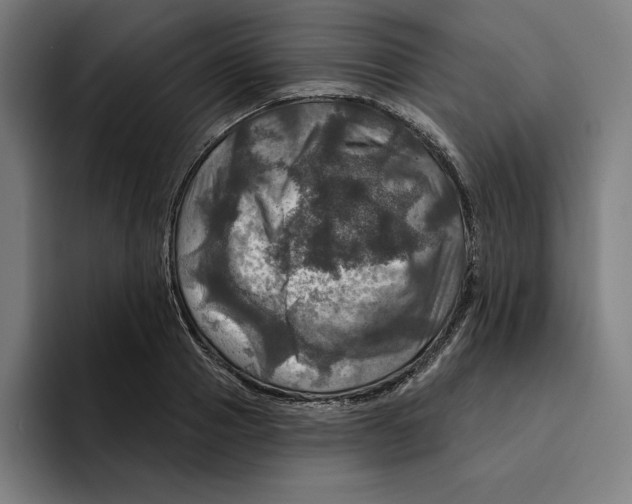 X0000094900937200712271449